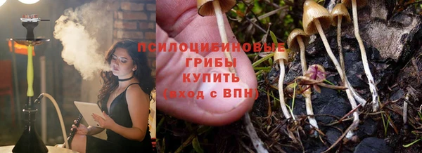 спиды Алексеевка