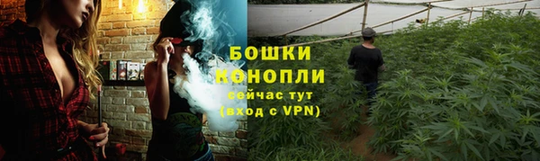 спиды Алексеевка