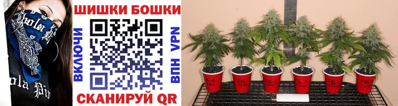 Купить закладки  Калуга  Канабис гибрид 
